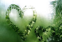 体球即时比分网的足球数据服务到底有什么优势？