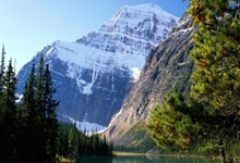 雄鹿队新赛季能卫冕东部冠军吗？